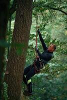 Side view, using ,the, rope, hanging. Man is doing climbing in the forest by use of safety equipment photo