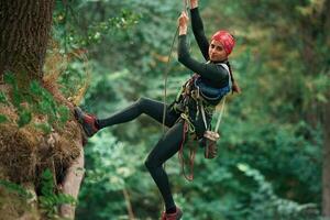 Looking, to, the side, hanging on the rope. Woman is doing climbing in the forest by the use of safety equipment photo