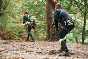 Setting ,up, the ropes. Man and woman doing climbing in forest with use of safety equipment photo