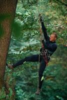 On the high tree, hanging.. Man is doing climbing in the forest by use of safety equipment photo