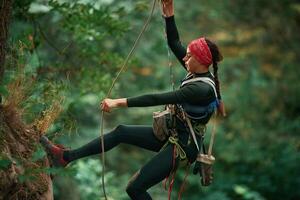 In sportive ,clothes, high up on the rope. Woman is doing climbing in the forest by the use of safety equipment photo