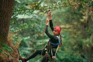 Looking to, the side, hanging on the rope. Woman is doing climbing in the forest by the use of safety equipment photo