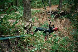 Climbing in the, forest. Woman is in the forest using the safety equipment photo
