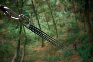 Climbing ropes are set in the green forest. Woman are far on the ground photo
