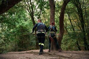 In the forest.. Man and woman doing climbing with use of safety equipment photo