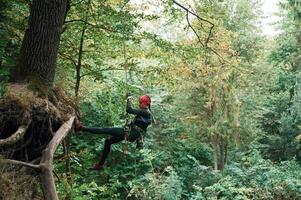 Climbing, in the forest. Woman is in the forest using the safety equipment photo