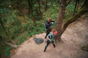 Top, view. Man and woman doing climbing in forest with use of safety equipment photo