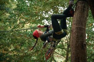 Climbing in, the forest. Woman is in the forest using the safety equipment photo