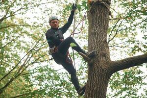 On ,the high tree, hanging. Man is doing climbing in the forest by use of safety equipment photo