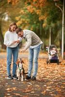 Making the dog stand by back legs, training. Lovely couple are with their cute dog outdoors photo