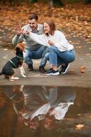Teaching the tricks, training.. Lovely couple are with their cute dog outdoors photo