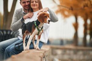 Smiling,, having fun... Lovely couple are with their cute dog outdoors photo