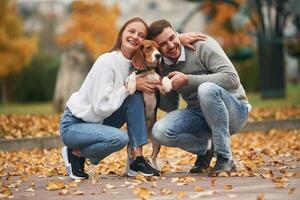 Fallen leaves are on, the ground. Lovely ,couple are with their cute dog outdoors photo