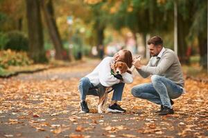 Fallen, leaves are on the ground. Lovely couple are with their cute dog outdoors photo
