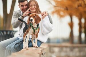 Smiling, having fun. Lovely, couple ,are with their cute dog outdoors photo