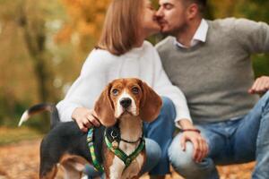 Sitting,, resting. Lovely couple are with their cute dog outdoors photo