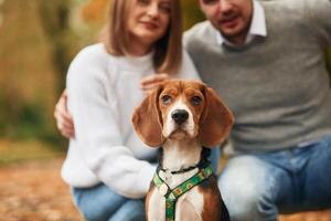 Sitting, ,resting. Lovely couple are with their cute dog outdoors photo