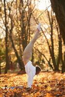 Standing on the hands. Young beautiful woman is doing yoga in the autumn park photo