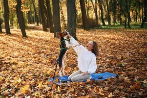 Animal is jumping. Woman, is with, her cute dog in the autumn forest photo