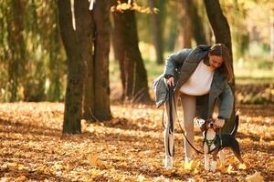 Walking together... Woman is with her cute dog in the autumn forest photo