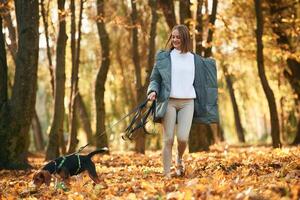 Walking together. Woman ,is ,with her cute dog in the autumn forest photo