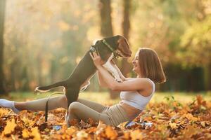 Holding, animal,, in hands. Woman is with her cute dog in the autumn forest photo