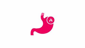 Stomach with fire icon, isolated on white background, 4K motion graphics animation, light crimson color icon video