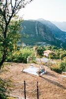 Wedding arch-wigwam with a blanket and bouquets of flowers stands on the mountain photo