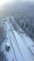 Aerial view of snow-covered ski jumping hill surrounded by dense winter forest on a cold, foggy day with soft light. Concepts of winter sports, nature, and travel. video