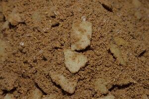 cocoa flavored cereal mix photo