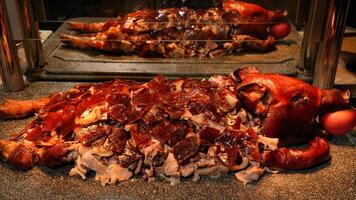 a large pig is sitting on a counter photo