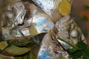 fish tinola soup photo
