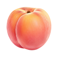Close up view of a Watercolor ripe peach with a smooth surface against a plain surrounding area on transparent background png
