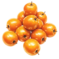 A pyramid stack of many shiny yellow apples with visible stems on a plain isolated backdrop view on transparent background png