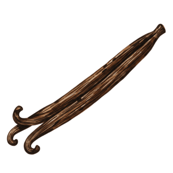 Due vaniglia fagioli disposte diagonalmente su un' pianura ambientazione la creazione di un' semplice cibo presentazione Visualizza su trasparente sfondo png