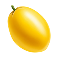 Isolated close up of a vibrant yellow spaghetti squash against a plain solid color space field view on transparent background png
