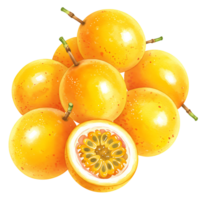 A Watercolor of passion fruits stacked together with one cut open showing the pulp and seeds inside the fruit on transparent background png