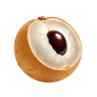 A close up view of a cut longan fruit showing the seed and the translucent flesh on a plain setting on transparent background png
