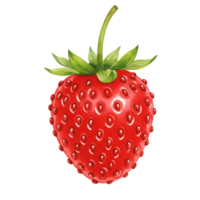 A Watercolor vibrant red strawberry with green leaves on an isolated plain background image view on transparent background png