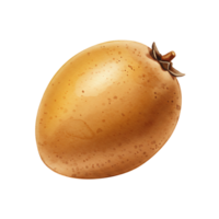 A Watercolor sapodilla fruit with a stem is isolated against a plain colored simple studio space on transparent background png