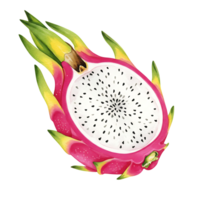 A close up view of a sliced dragon fruit with white flesh and small seeds on a plain setting on transparent background png