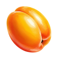A Watercolor apricot with a smooth skin and a visible line down the middle against a plain setting on transparent background png