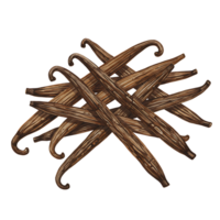 A pile of aromatic vanilla beans arranged randomly on a plain surface in a studio setting view shot on transparent background png