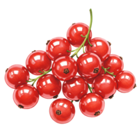 A cluster of vibrant red currants on delicate green stems creating a Watercolor and juicy display on transparent background png