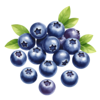 A watercolor style depiction of a cluster of blueberries with green leaves on a plain backdrop on transparent background png