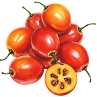 A Watercolor of tamarillo fruits with one cut in half displaying the inner seeds and pulp on a plain space on transparent background png