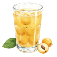 A Watercolor of reWatercoloring fruit juice with whole fruits and a sliced fruit on the side with a green leaf on transparent background png