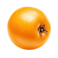 A close up view showcasing a Watercolor ripe loquat fruit against a plain solid color space around it on transparent background png