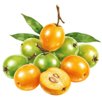 Arrangement of green and orange fruits with leaves and stems on a plain color surface view from above on transparent background png
