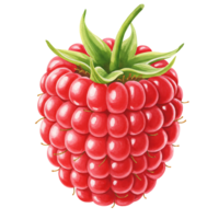 A Watercolor raspberry with vibrant red color and green leaves isolated on a plain background space around it on transparent background png